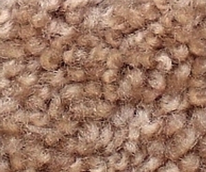 Camel Coat